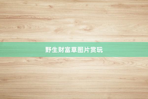 野生财富草图片赏玩