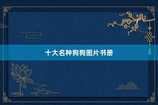 十大名种狗狗图片书册