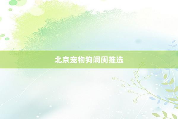 北京宠物狗阛阓推选