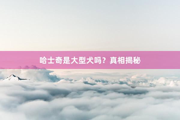 哈士奇是大型犬吗？真相揭秘