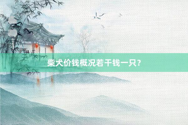 柴犬价钱概况若干钱一只？