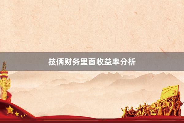 技俩财务里面收益率分析
